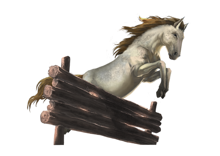 A white horse jumping over a wooden blockade